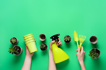 Female hands with spray bottle, rake, shovel, peat pots and plants on green background. Top view