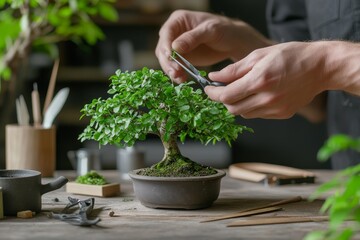 Pruning a bonsai tree in a cozy workshop with tools and natural light on a serene afternoon