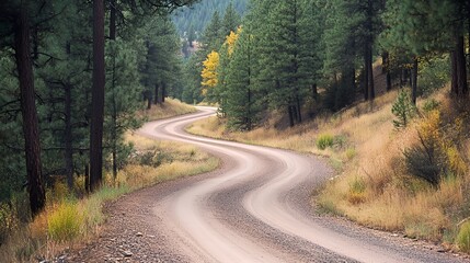 Obraz premium A winding dirt road through a forested landscape with tall trees and golden foliage.