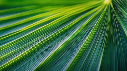 Fototapeta premium Close-up of a vibrant green leaf with distinct striations, symbolizing nature and environmental consciousness. Sustainability, ecology, environmental initiatives.