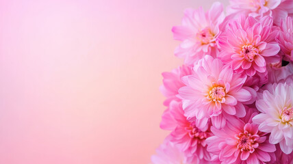 Fototapeta premium A bouquet of pink flowers with a pink background. The flowers are arranged in a way that they are almost touching the edge of the frame. Scene is one of beauty and elegance