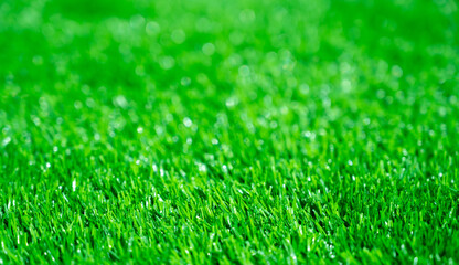 Fototapeta premium Green grass background, wallpaper