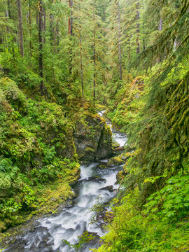 USA, Washington State, Olympic National Park. Landscape with Sol Duc River. 