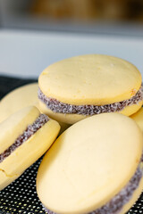 Alfajor de maicena de panaderia argentina, tamaño pequeño, con dulce de leche y coco rallado