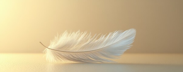 A single feather floating, beige background, isolated, 3D Blender style, lightness, mindfulness, space for text © Naret