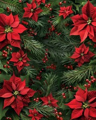 Christmas decoration. Frame of red poinsettia flowers and Christmas tree branches