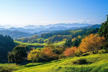 Fototapeta premium Green hills in Japan, morning, featuring a mountain landscape with trees in autumn colors green yellow orange under a clear blue sky, epitomizing serene natural beauty. SHOTLISTtravel , ai