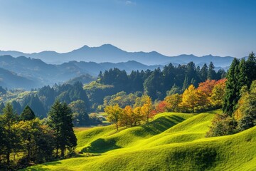 Obraz premium Green hills in Japan, morning, featuring a mountain landscape with trees in autumn colors green yellow orange under a clear blue sky, epitomizing serene natural beauty. SHOTLISTtravel , ai