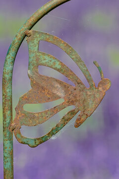 USA, Washington State, Sequim. Lavender fields with metal butterfly