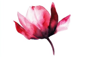 Beautiful Watercolor Pink Lotus Flower