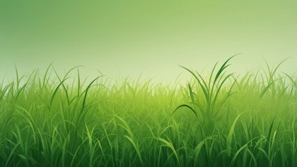 Fototapeta premium green grass background