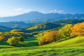 Obraz premium Green hills in Japan, morning, featuring a mountain landscape with trees in autumn colors green yellow orange under a clear blue sky, epitomizing serene natural beauty. SHOTLISTtravel , ai