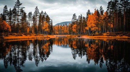 Obraz premium Autumnal Forest Reflections in a Still Lake
