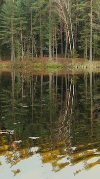 Vertical video of a northern forest reflected on a lake. Light breeze wind over water surface.