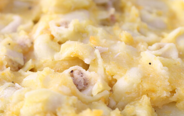 meal details. food background. capeletti prepared for meal.
