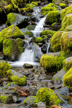 USA, Washington State, Olympic National Park, Sol Duc Trailhead. A small stream flows over moss covered rocks.