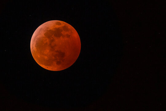 USA, Washington State. Blood Moon lunar eclipse over Kirkland, WA on January 20th, 2019.