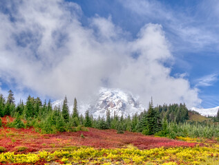 Washington State, Mount Rainier National Park. Mount Rainier with vibrant autumn colors and new snow on the mountain with swirling clouds