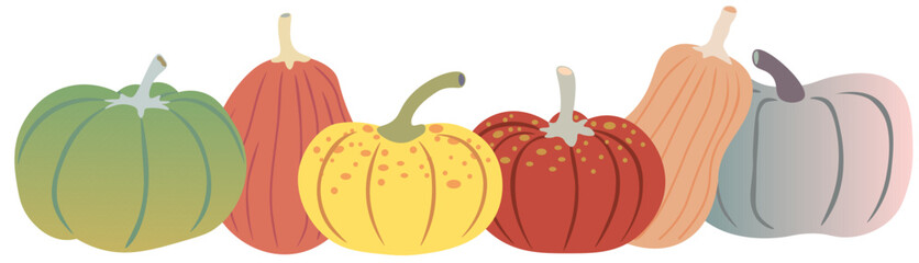 color isolated autumn pumpkins vector illustration set. element for logo sticker poster print design decor backgrounds