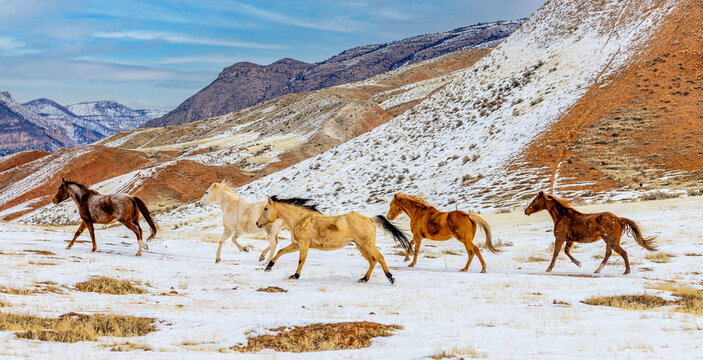 USA, Wyoming, Shell. Hideout Ranch, Big Horn Mountain Range