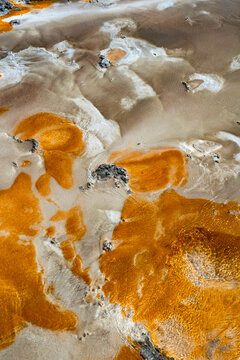 USA, Wyoming. Hot spring runoff, Yellowstone National Park.