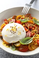 Delicious fresh burrata salad in bowl served on light gray table, closeup