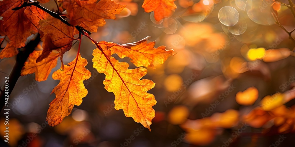 Poster A leafy tree branch with a leaf that is orange in color