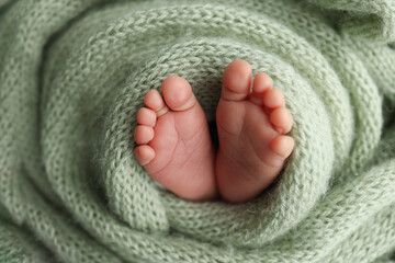 The tiny foot of a newborn. Soft feet of a newborn in a olive green woolen blanket. Close up of toes, heels and feet of a newborn baby. Studio Macro photography. Woman's happiness.