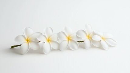 A bouquet of white flowers is arranged on a white background