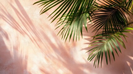 Serene Sunlit Palm Fronds Casting Intricate Shadows on a Soft Textured Wall, Warm Tropical Ambiance with Muted Pink and Beige Background, Delicate Play of Light and Shadow in a Peaceful, Sun-Drenched 