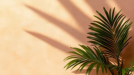 Serene Sunlit Palm Fronds Casting Intricate Shadows on a Soft Textured Wall, Warm Tropical Ambiance with Muted Pink and Beige Background, Delicate Play of Light and Shadow in a Peaceful, Sun-Drenched 