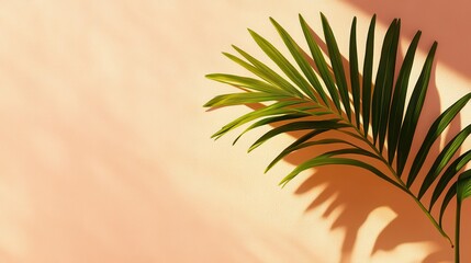 Serene Sunlit Palm Fronds Casting Intricate Shadows on a Soft Textured Wall, Warm Tropical Ambiance with Muted Pink and Beige Background, Delicate Play of Light and Shadow in a Peaceful, Sun-Drenched 