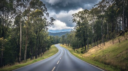 Fototapeta premium Winding Road Through Australian Wilderness 