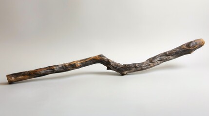 Obraz premium Old stick form