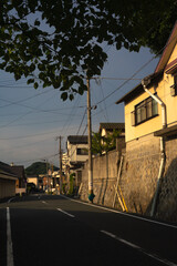 住宅街のストリート20240818