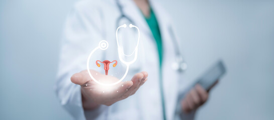Medical worker hold virtual model of uterus and reproductive system representing concepts of women health such as PCOS ovarian and cervical cancer women's consultations obstetrics and pregnancy care