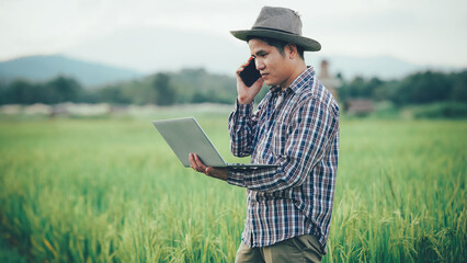 Young farmers are using laptop tablets to research and study rice variety development in the rice fields. Smart farmers working in the rice fields. Concept of modern farmers using technology.