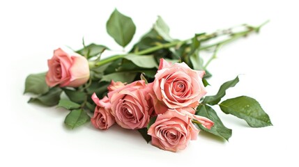 Pink Rose Bouquet on White Background