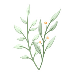 Watercolor Leaf Illustration