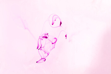 abstract background of pink ink splashing on white background