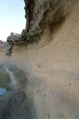 Stonewall on the Reef