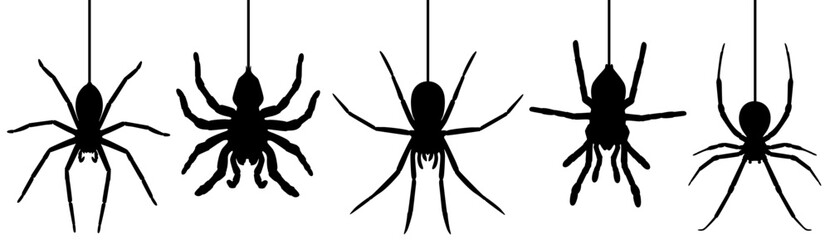 set collections hanging spider black silhouettes icon. Halloween Spider symbol design vector illustration