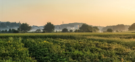 The rice paddies on the plain of the Hunan River bank 