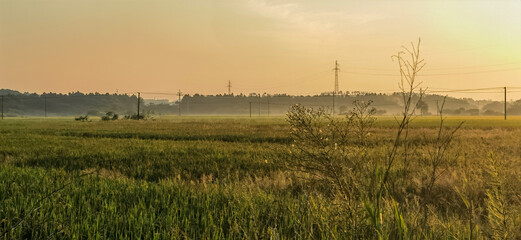 Fototapeta premium The rice paddies on the plain of the Hunan River bank 