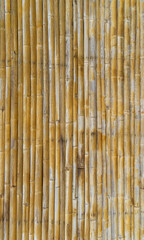 fence made of bamboo sticks