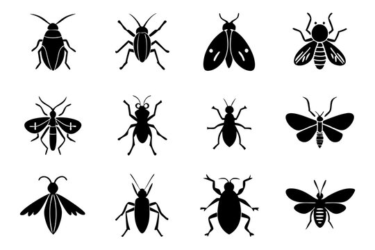 Set of insect icons silhouette vector illustration