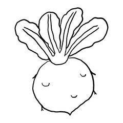 Beet Outline  doodle suitable for restaurant or vegetable supermarket illustrations, icons, packaging designs, and other product needs related to processed vegetable foods