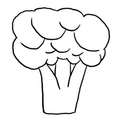 Broccoli Outline  doodle suitable for restaurant or vegetable supermarket illustrations, icons, packaging designs, and other product needs related to processed vegetable foods