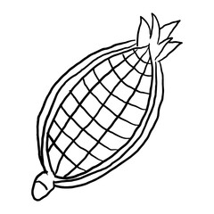 Corn Outline  doodle suitable for restaurant or vegetable supermarket illustrations, icons, packaging designs, and other product needs related to processed vegetable foods