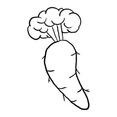 Carrot Outline  doodle suitable for restaurant or vegetable supermarket illustrations, icons, packaging designs, and other product needs related to processed vegetable foods
